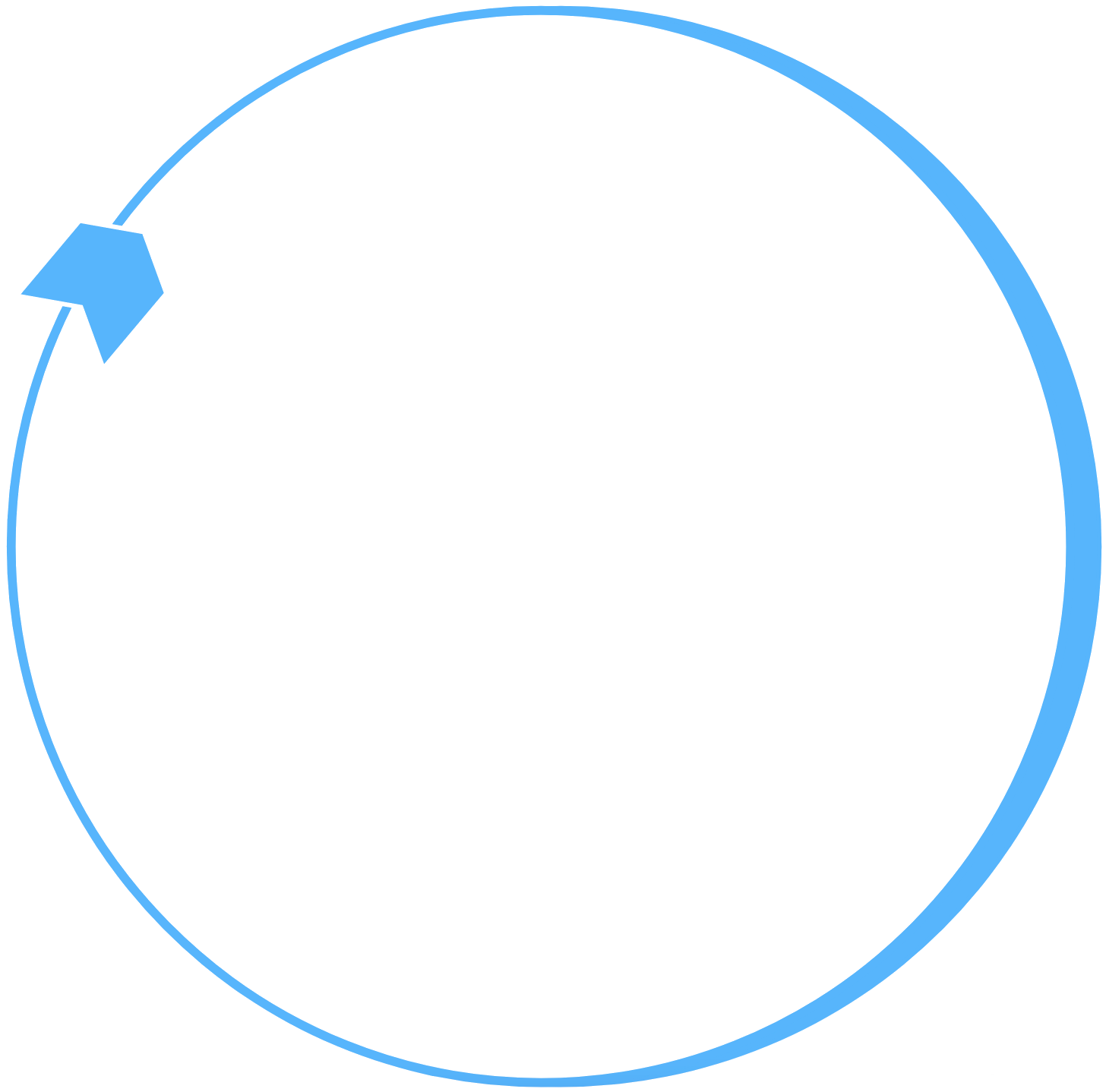 circle animation